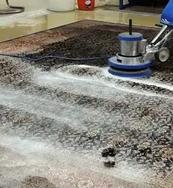Professional rug cleaning with a rotary floor machine and shampoo foam, deep-cleaning an area rug Ogden, UT.